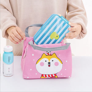 Food Picnic Lunch Bag
