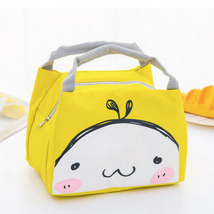 Food Picnic Lunch Bag
