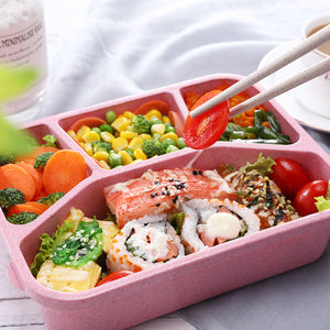 Student Lunch Box for Kid