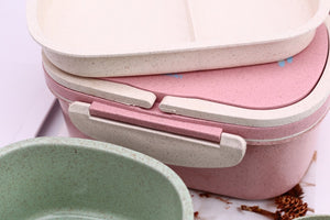 Student Lunch Box for Kid
