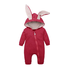 Load image into Gallery viewer, Winter Funny clothes for Baby