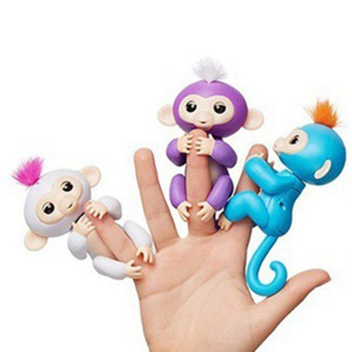 Colorful Fingertip Monkey