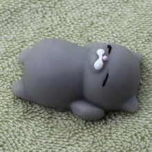 Load image into Gallery viewer, Mini  Squishy Cute Cat